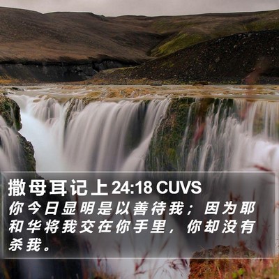 撒 母 耳 记 上 24:18 CUVS Bible Verse Image