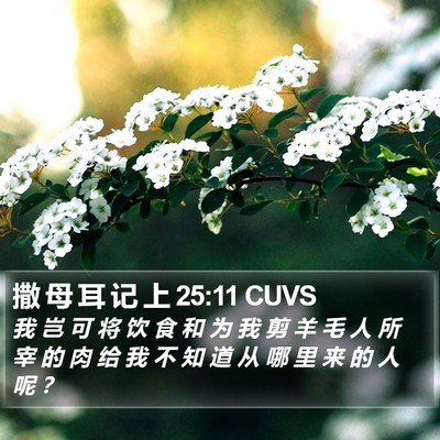 撒 母 耳 记 上 25:11 CUVS Bible Verse Image