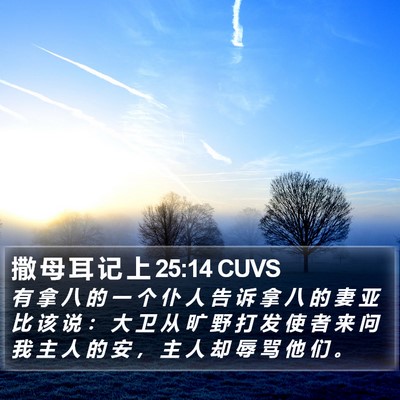 撒 母 耳 记 上 25:14 CUVS Bible Verse Image