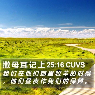 撒 母 耳 记 上 25:16 CUVS Bible Verse Image