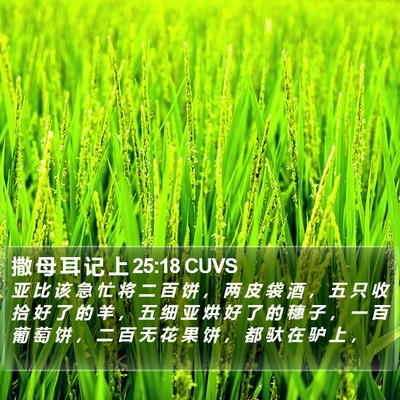 撒 母 耳 记 上 25:18 CUVS Bible Verse Image