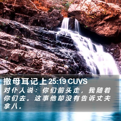 撒 母 耳 记 上 25:19 CUVS Bible Verse Image