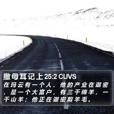 撒 母 耳 记 上 25:2 CUVS Bible Verse Image