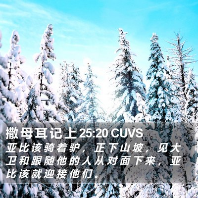撒 母 耳 记 上 25:20 CUVS Bible Verse Image