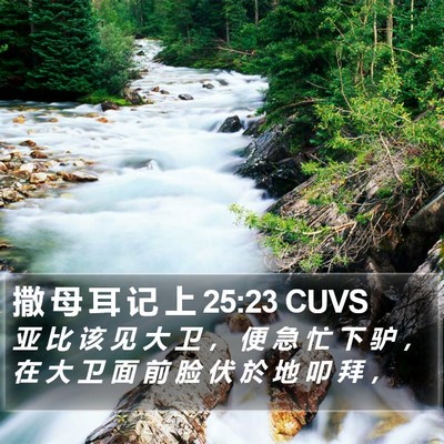 撒 母 耳 记 上 25:23 CUVS Bible Verse Image