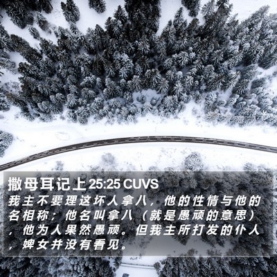 撒 母 耳 记 上 25:25 CUVS Bible Verse Image