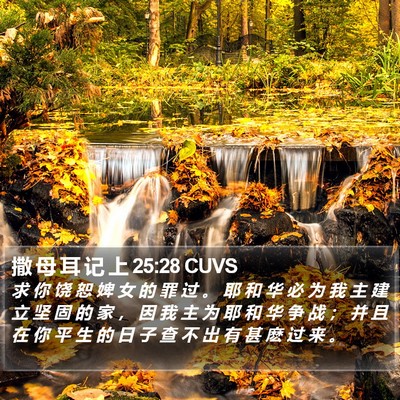 撒 母 耳 记 上 25:28 CUVS Bible Verse Image