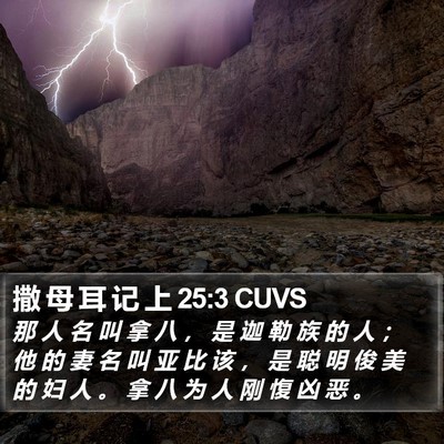 撒 母 耳 记 上 25:3 CUVS Bible Verse Image
