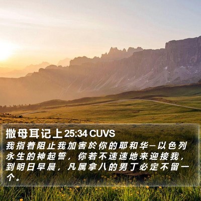 撒 母 耳 记 上 25:34 CUVS Bible Verse Image