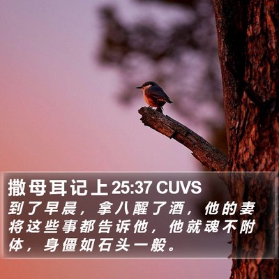 撒 母 耳 记 上 25:37 CUVS Bible Verse Image