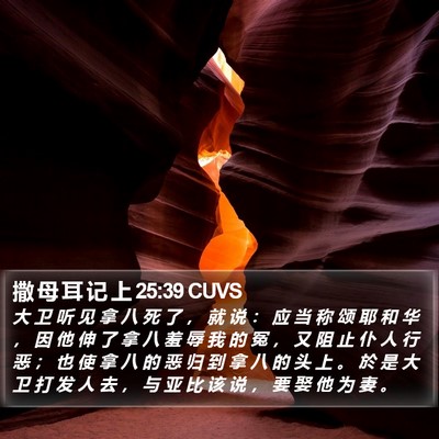 撒 母 耳 记 上 25:39 CUVS Bible Verse Image