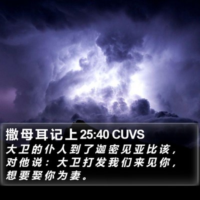 撒 母 耳 记 上 25:40 CUVS Bible Verse Image