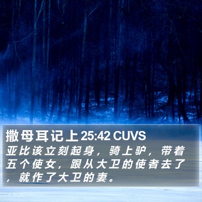 撒 母 耳 记 上 25:42 CUVS Bible Verse Image