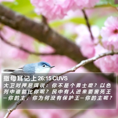 撒 母 耳 记 上 26:15 CUVS Bible Verse Image