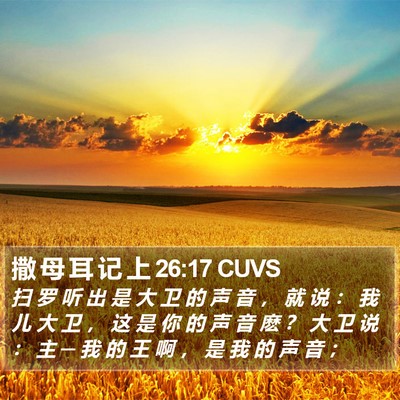 撒 母 耳 记 上 26:17 CUVS Bible Verse Image