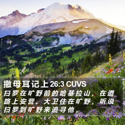 撒 母 耳 记 上 26:3 CUVS Bible Verse Image