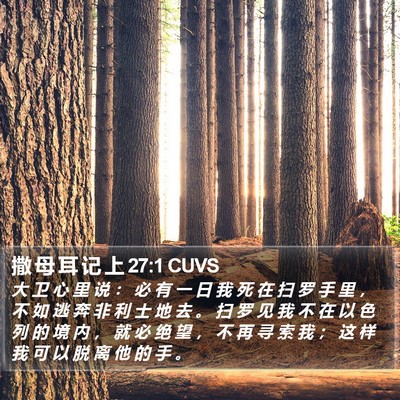 撒 母 耳 记 上 27:1 CUVS Bible Verse Image