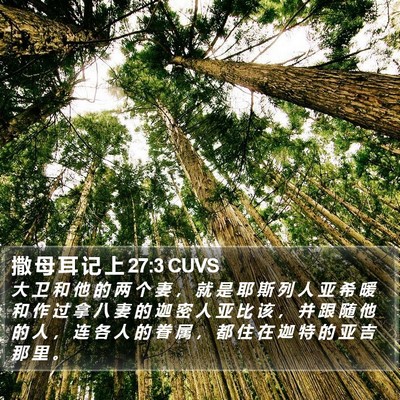撒 母 耳 记 上 27:3 CUVS Bible Verse Image