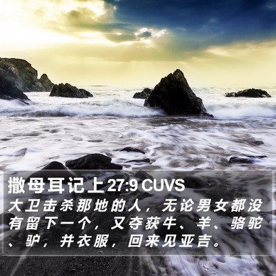 撒 母 耳 记 上 27:9 CUVS Bible Verse Image