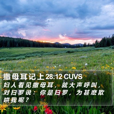 撒 母 耳 记 上 28:12 CUVS Bible Verse Image