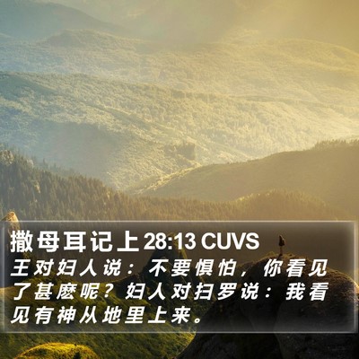 撒 母 耳 记 上 28:13 CUVS Bible Verse Image