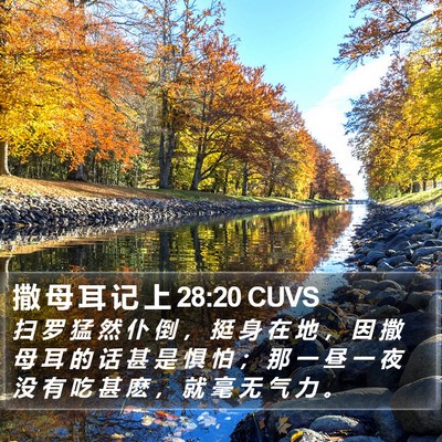 撒 母 耳 记 上 28:20 CUVS Bible Verse Image