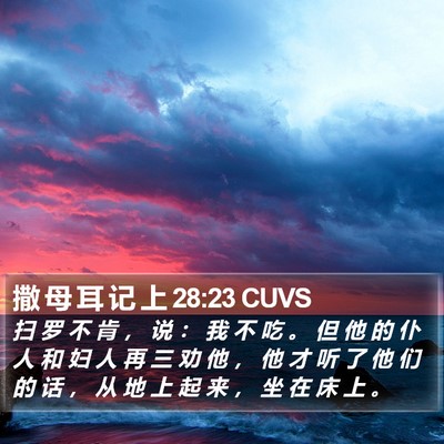 撒 母 耳 记 上 28:23 CUVS Bible Verse Image