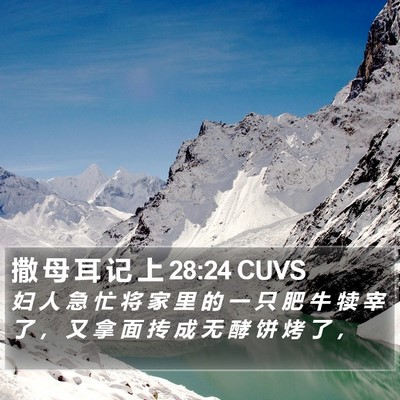 撒 母 耳 记 上 28:24 CUVS Bible Verse Image