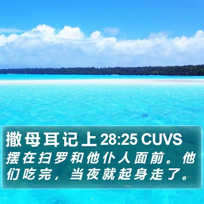 撒 母 耳 记 上 28:25 CUVS Bible Verse Image