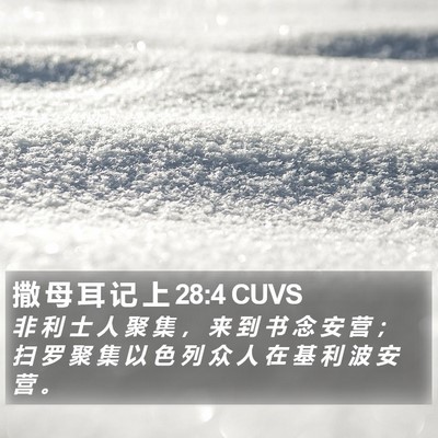 撒 母 耳 记 上 28:4 CUVS Bible Verse Image