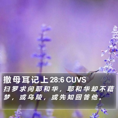 撒 母 耳 记 上 28:6 CUVS Bible Verse Image