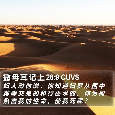 撒 母 耳 记 上 28:9 CUVS Bible Verse Image