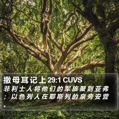撒 母 耳 记 上 29:1 CUVS Bible Verse Image
