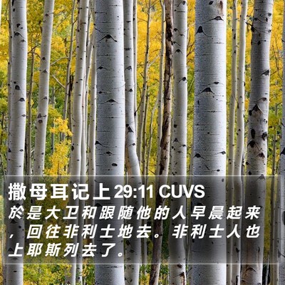 撒 母 耳 记 上 29:11 CUVS Bible Verse Image