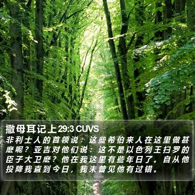 撒 母 耳 记 上 29:3 CUVS Bible Verse Image