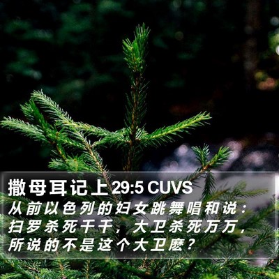 撒 母 耳 记 上 29:5 CUVS Bible Verse Image