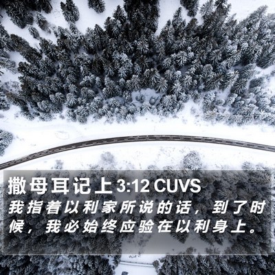 撒 母 耳 记 上 3:12 CUVS Bible Verse Image