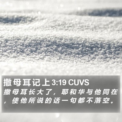撒 母 耳 记 上 3:19 CUVS Bible Verse Image