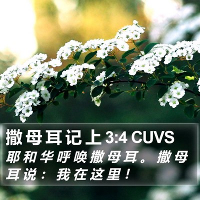 撒 母 耳 记 上 3:4 CUVS Bible Verse Image