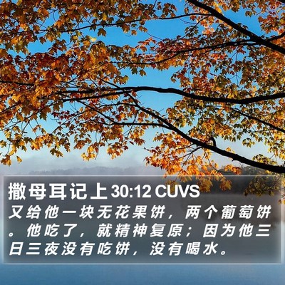 撒 母 耳 记 上 30:12 CUVS Bible Verse Image