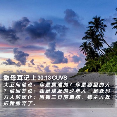 撒 母 耳 记 上 30:13 CUVS Bible Verse Image