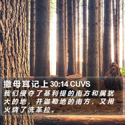 撒 母 耳 记 上 30:14 CUVS Bible Verse Image