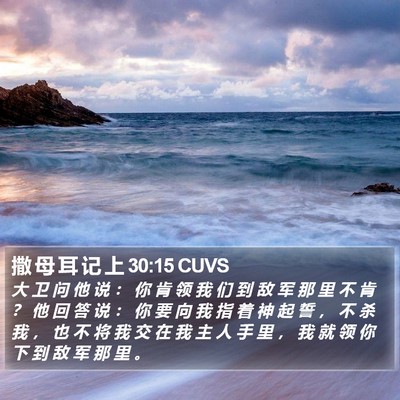 撒 母 耳 记 上 30:15 CUVS Bible Verse Image