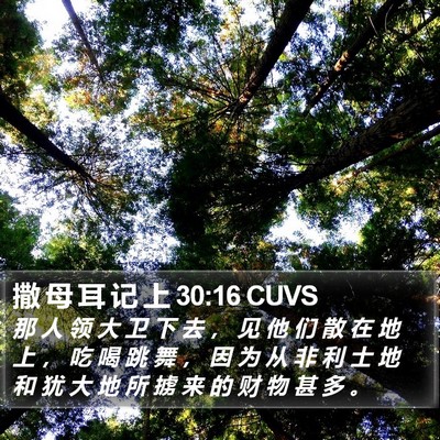 撒 母 耳 记 上 30:16 CUVS Bible Verse Image