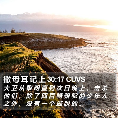 撒 母 耳 记 上 30:17 CUVS Bible Verse Image