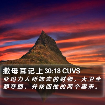 撒 母 耳 记 上 30:18 CUVS Bible Verse Image