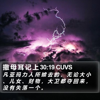 撒 母 耳 记 上 30:19 CUVS Bible Verse Image