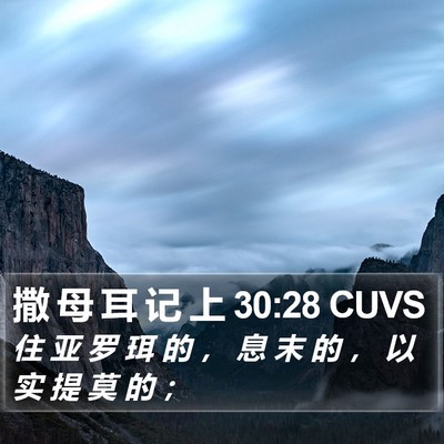 撒 母 耳 记 上 30:28 CUVS Bible Verse Image
