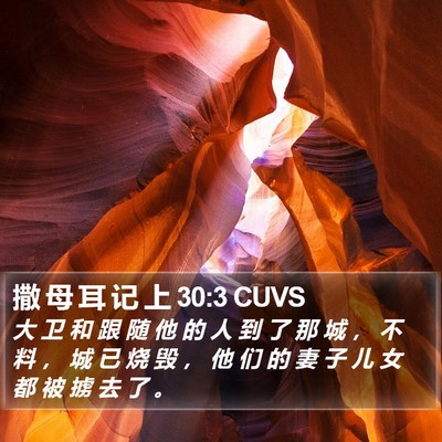 撒 母 耳 记 上 30:3 CUVS Bible Verse Image