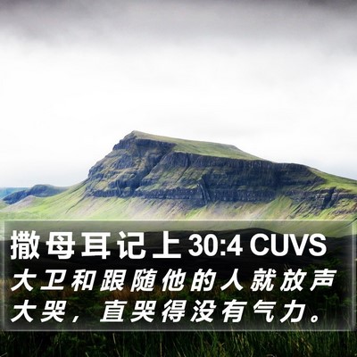 撒 母 耳 记 上 30:4 CUVS Bible Verse Image
